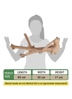 CHEWY BEAK parrot perch for macaw parrots  - Image 2