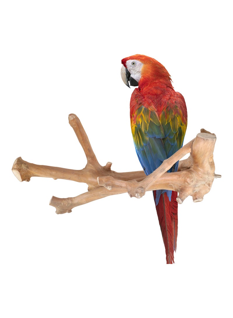 CHEWY BEAK parrot perch for macaw parrots - Image 1