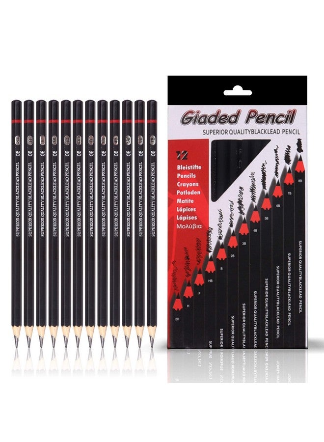 ABOUT SPACE Professional Shading & Drawing Pencils Set - (12 Lead Pencils) Black Sketching Pencils of 12 Shades for Artists, Students, Beginners - (B,2B,3B,4B,5B,6B,7B,8B,HB,H,2H & F) - Image 1