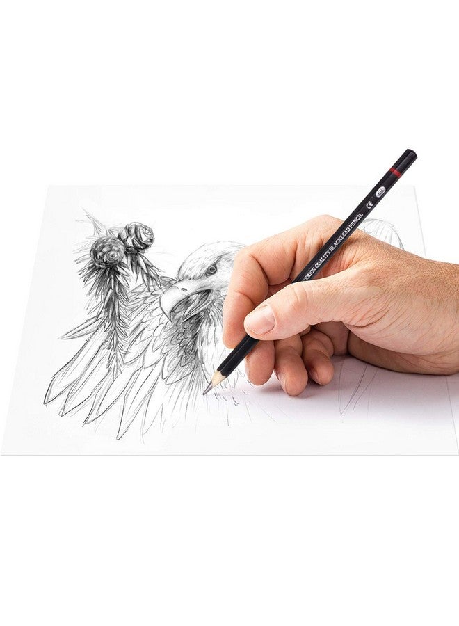 ABOUT SPACE Professional Shading & Drawing Pencils Set - (12 Lead Pencils) Black Sketching Pencils of 12 Shades for Artists, Students, Beginners - (B,2B,3B,4B,5B,6B,7B,8B,HB,H,2H & F) - Image 4