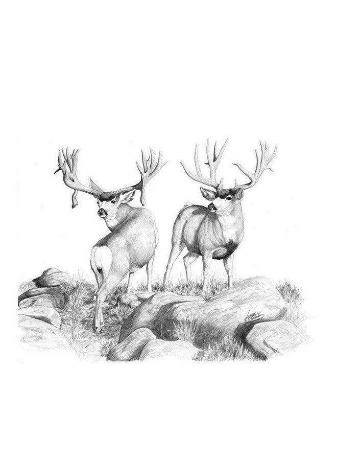 ABOUT SPACE Professional Shading & Drawing Pencils Set - (12 Lead Pencils) Black Sketching Pencils of 12 Shades for Artists, Students, Beginners - (B,2B,3B,4B,5B,6B,7B,8B,HB,H,2H & F) - Image 5