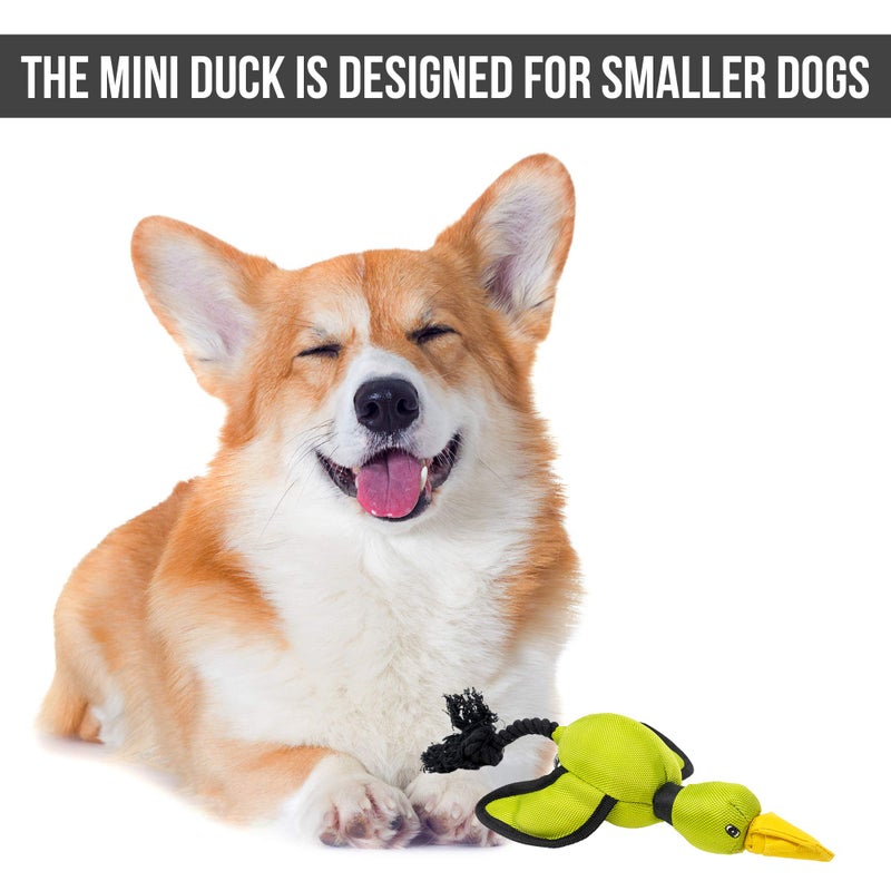 Hyper Pet Flying Series Fetching Dog Toys â€“ Mini Duck Interactive Dog Toy Slingshots Up To 40 ft â€“ Floats on Water - Image 5