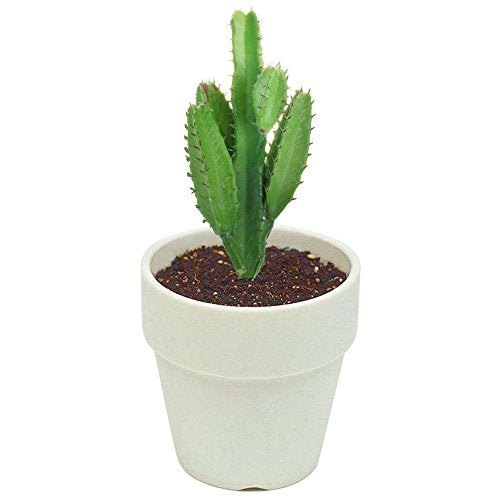BCP Bluecell 2pcs Real Looking Artificial Cactus Plant DIY Material for Home Decoration Flower Arrangement - Image 5