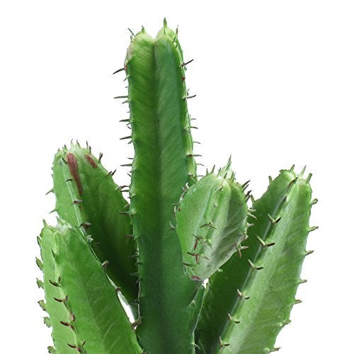 BCP Bluecell 2pcs Real Looking Artificial Cactus Plant DIY Material for Home Decoration Flower Arrangement - Image 3
