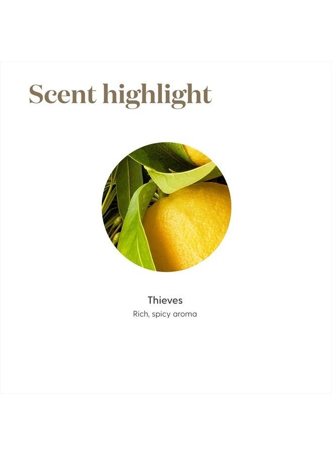 Young Living Thieves Essential Oil by Young Living 15ml  - Image 4