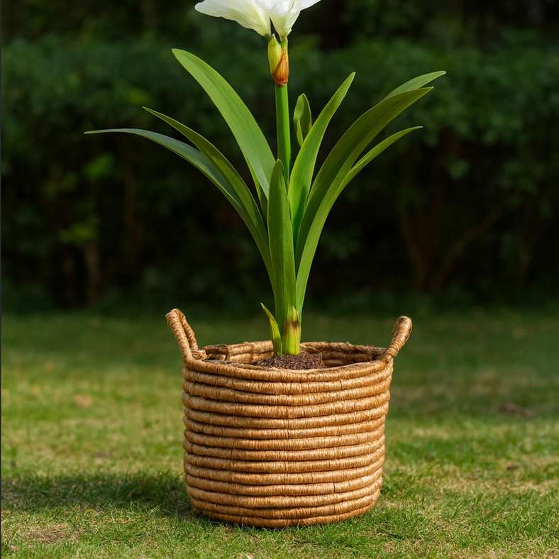 Pan Home Espie Jute Storage Basket With Handle 30x30x24cm- Natural