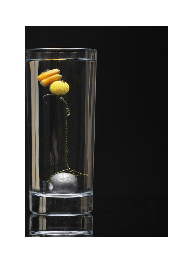 NIBEMINENT 10-Piece Carp Fishing Hair Rigs - Image 2