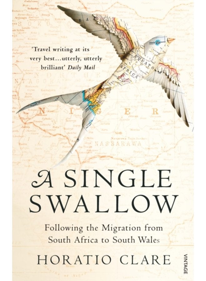 A Single Swallow Following An Epic Journey From South Africa To South Wales - Paperback