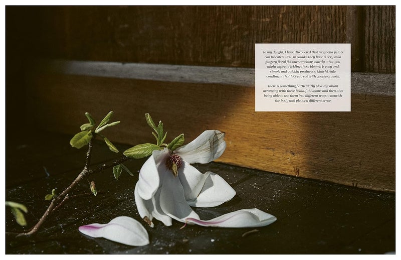 White Lion Publishing Flower Philosophy: Seasonal projects to inspire & restore - Image 4