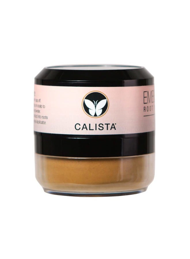 Calista Embellish Root Touch-Up, Blonde, Temporary Grey Cover and Root Concealer, 0.35 oz. - Image 2