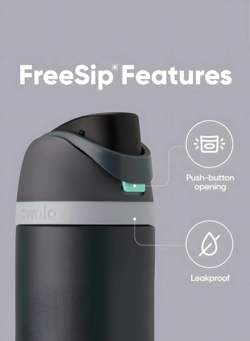 Owala FreeSip معزولة زجاجة المياه من الفولاذ المقاوم للصدأ مع القش ، دليل التسرب ، خالية من BPA ، 945 مل ، الرياح الجليدي ، حزمة واحدة ، (فراولة ماكارون) - Image 4