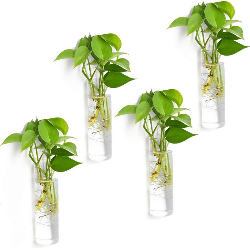 Vumdua 4 Pack Glass Planters, Clear, 5.9 in H x 1.85 in D, Suitable for Most Water Plants, Perfect for DIY Propagation Station, Easy to Install, Elegant and Functional - Image 1