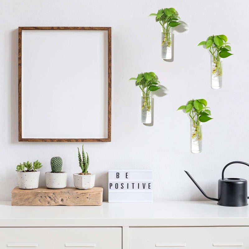 Vumdua 4 Pack Glass Planters, Clear, 5.9 in H x 1.85 in D, Suitable for Most Water Plants, Perfect for DIY Propagation Station, Easy to Install, Elegant and Functional - Image 3