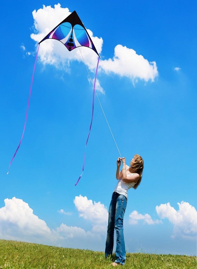 HONBO Large Delta Kite for Kids & Adults,Extremely Easy to Fly Kite for Beach Trip,String Line Included,with Colorful Tail,Perfect for Beginners (Blue) - Image 4