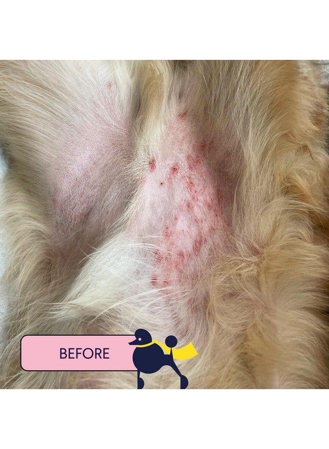 فين سكين هيرو | بلسم طبيعي مُنعش لبشرة الكلاب | يُهدئ ويُقوي ويحمي من البقع الساخنة والحكة والتهيج - ١٫٧٥ أونصة - Image 3