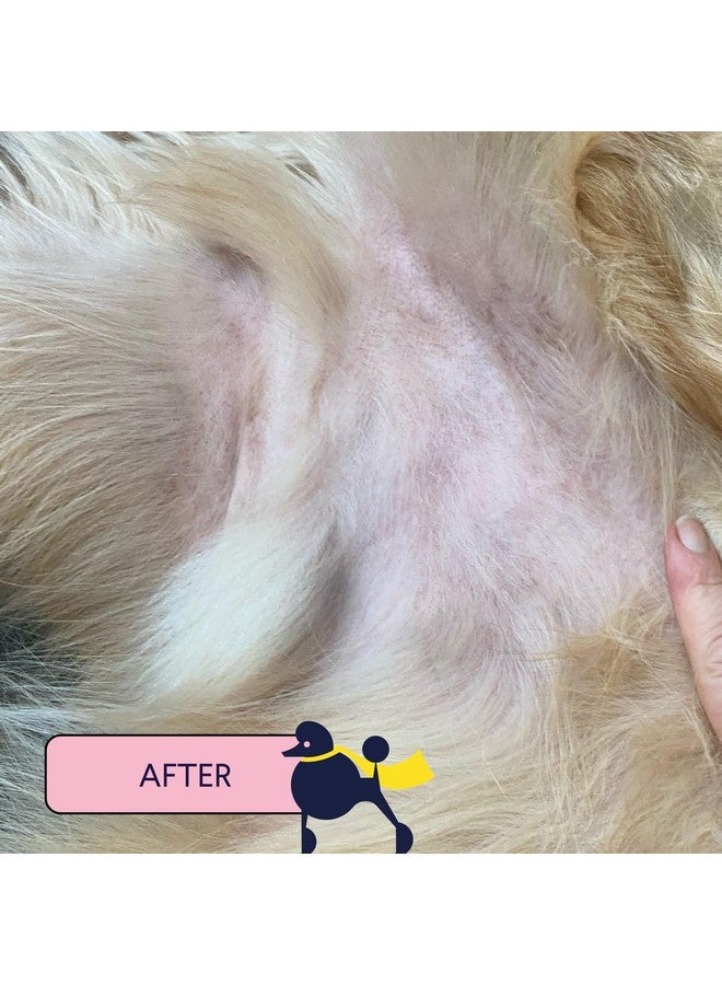 فين سكين هيرو | بلسم طبيعي مُنعش لبشرة الكلاب | يُهدئ ويُقوي ويحمي من البقع الساخنة والحكة والتهيج - ١٫٧٥ أونصة - Image 4