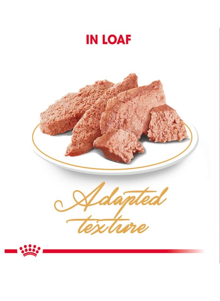 ROYAL CANIN Feline Breed Nutrition Persian (WET FOOD - Pouches) 12 x 85g - Image 2