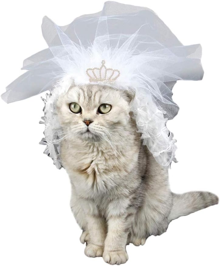 klarako 1pc Bride Outfit Bridesmaid Hair Accessories Dresses for a Wedding Cat Wedding Supplies Cat Wedding Veil Wedding Veil for Dogs Pet Supplies Wedding Dress Clothing Lace Dress White - Image 1