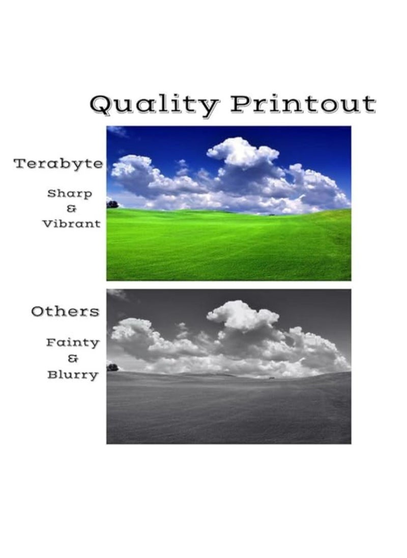 Terabyte 85A Compatible Toner Cartridge for LaserJet P1102 MFP M1132 and M1212 series Printers CE285A  - Image 2