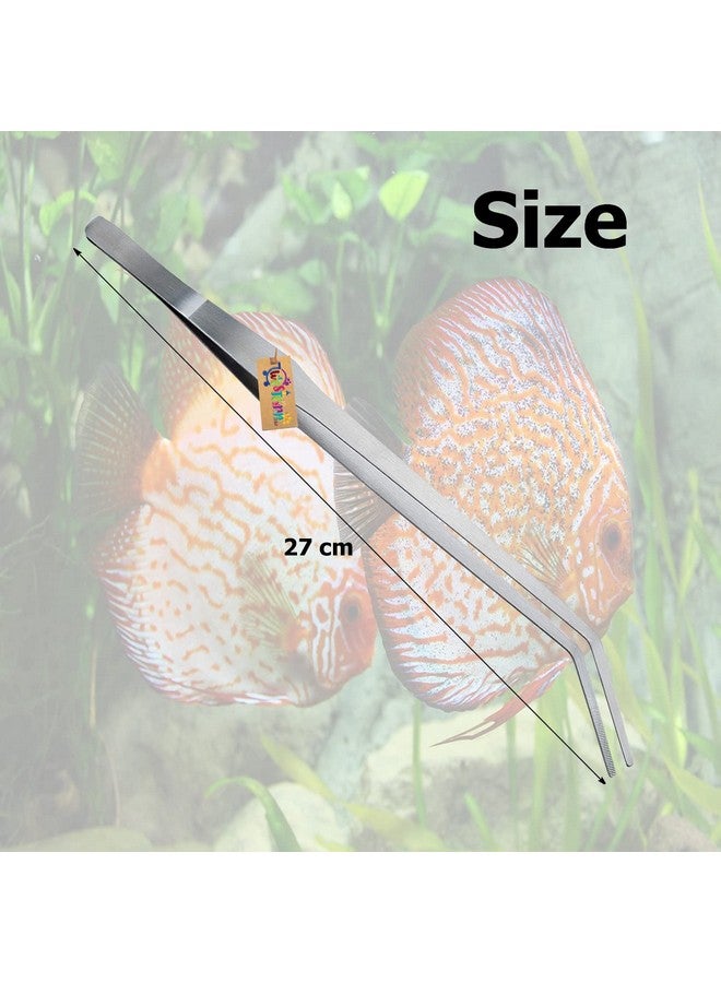 Western Era Aquarium 27Cm Curved Tweezer, Good For Saltwater & Freshwater, Excellent Flexibility, Effectively Resist Rust, Durable,Sustainable Use, For Insects,Snakes,Lizards Spider,Ball Python,Gecko - Image 2