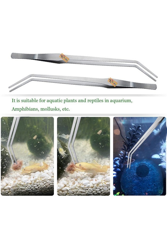 Western Era Aquarium 27Cm Curved Tweezer, Good For Saltwater & Freshwater, Excellent Flexibility, Effectively Resist Rust, Durable,Sustainable Use, For Insects,Snakes,Lizards Spider,Ball Python,Gecko - Image 5
