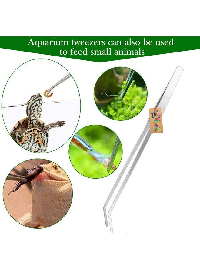 Western Era Aquarium 27Cm Curved Tweezer, Good For Saltwater & Freshwater, Excellent Flexibility, Effectively Resist Rust, Durable,Sustainable Use, For Insects,Snakes,Lizards Spider,Ball Python,Gecko - Image 4