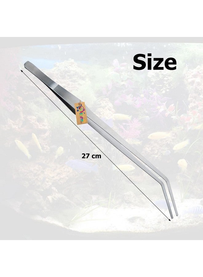 Western Era Aquarium 27Cm Curved Tweezer, Good For Saltwater & Freshwater, Excellent Flexibility, Effectively Resist Rust, Durable,Sustainable Use, For Insects,Snakes,Lizards Spider,Ball Python,Gecko - Image 3