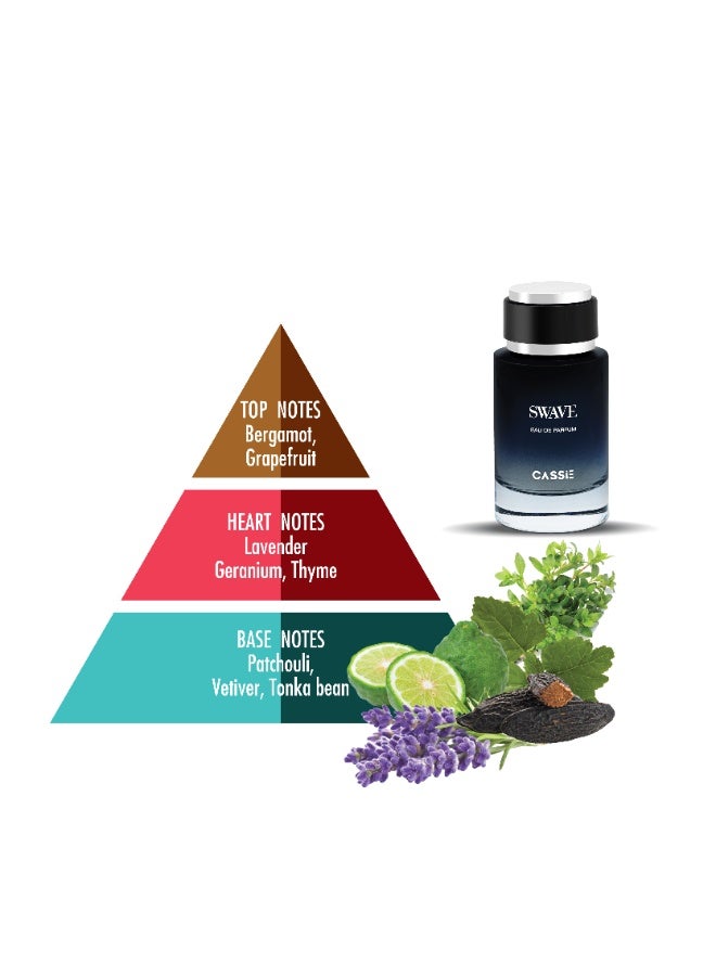 كاسي عطر سويف للرجال ١٠٠ مل من عطور كاسي - Image 4