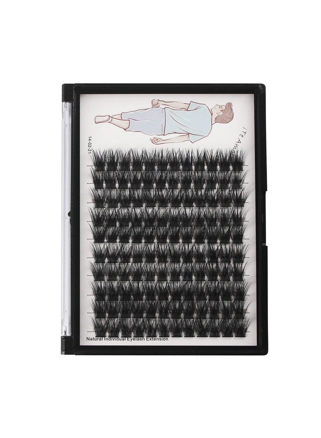 Dedila Large Traygrafted Wide Stem Individual False Eyelashes Thick Base 120 Clusters D Curl Natural Long Volume Eye Lashes Extensions Dramatic Look 820Mm Available (16Mm) - Image 2