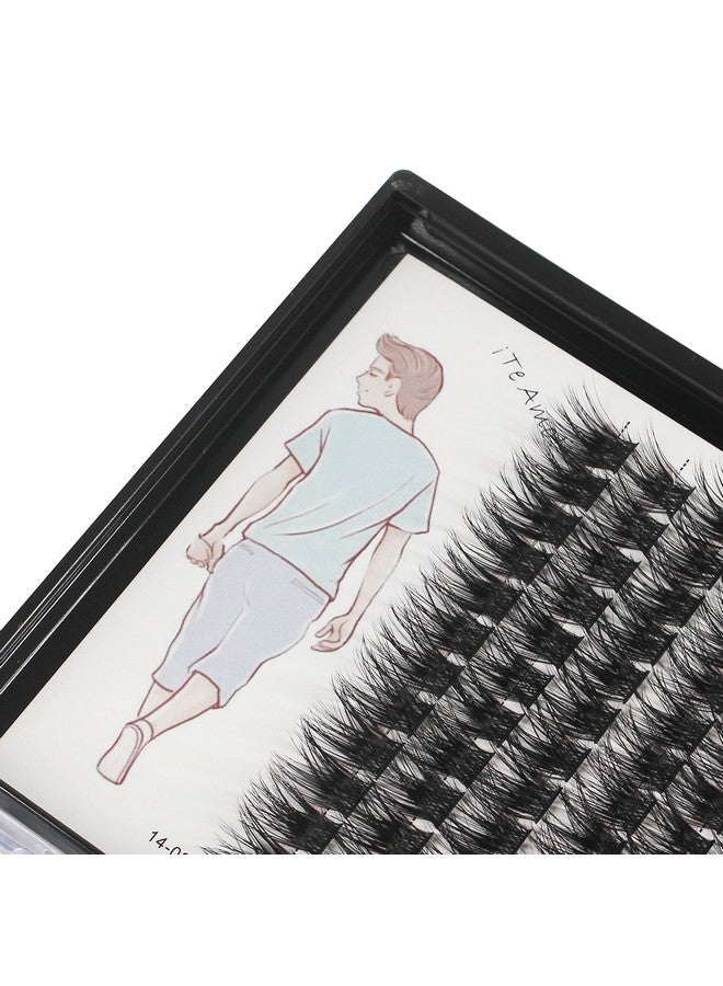 Dedila Large Traygrafted Wide Stem Individual False Eyelashes Thick Base 120 Clusters D Curl Natural Long Volume Eye Lashes Extensions Dramatic Look 820Mm Available (16Mm) - Image 5