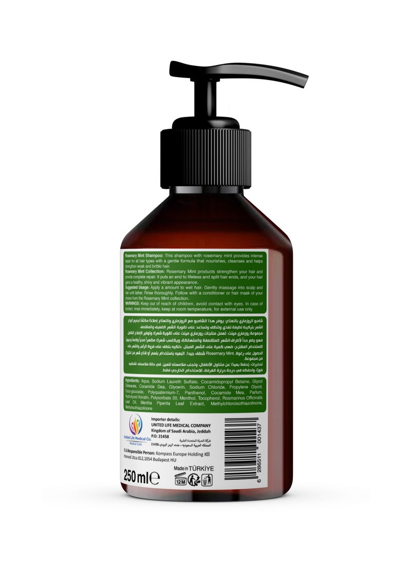 باي نيتشر باي ناتشر شامبو الروزماري والنعناع 250
مللي - Image 2