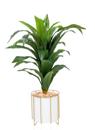 WHITE\green