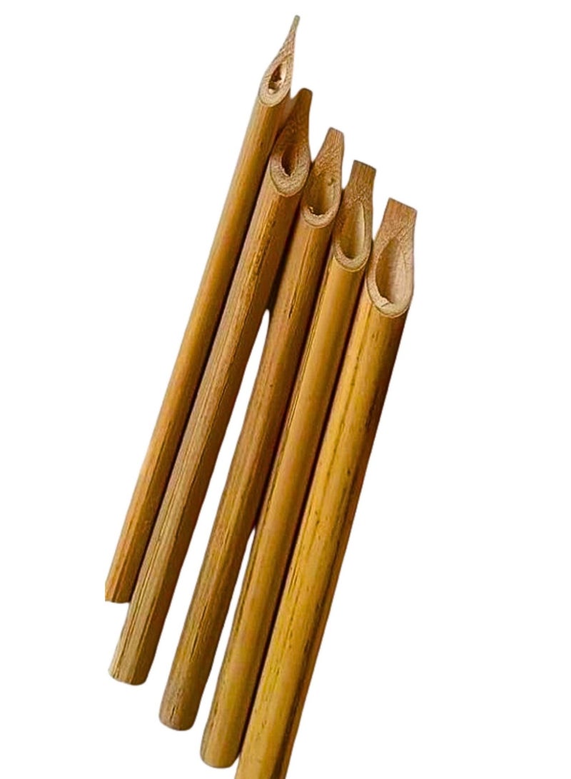 Terabyte Bamboo Reed Qalam Pens, Calligraphy Pens, 5-Piece Calligraphy Pens, Handcrafted Vintage Manga Calligraphy Pens for Writing, Drawing, Painting (Natural Bamboo Tip Set) - Image 1