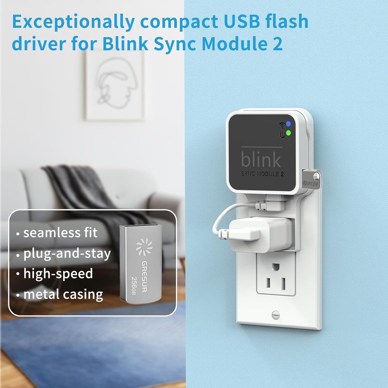 256GB USB Flash Drive for Local Video Storage with The Blink Sync Module 2 Mount (Blink Add-On Sync Module 2 is NOT Included) - Image 2