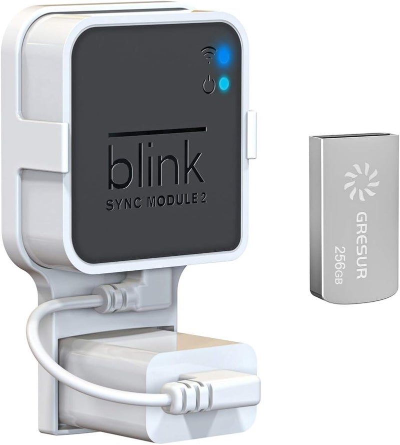 256GB USB Flash Drive for Local Video Storage with The Blink Sync Module 2 Mount (Blink Add-On Sync Module 2 is NOT Included) - Image 1