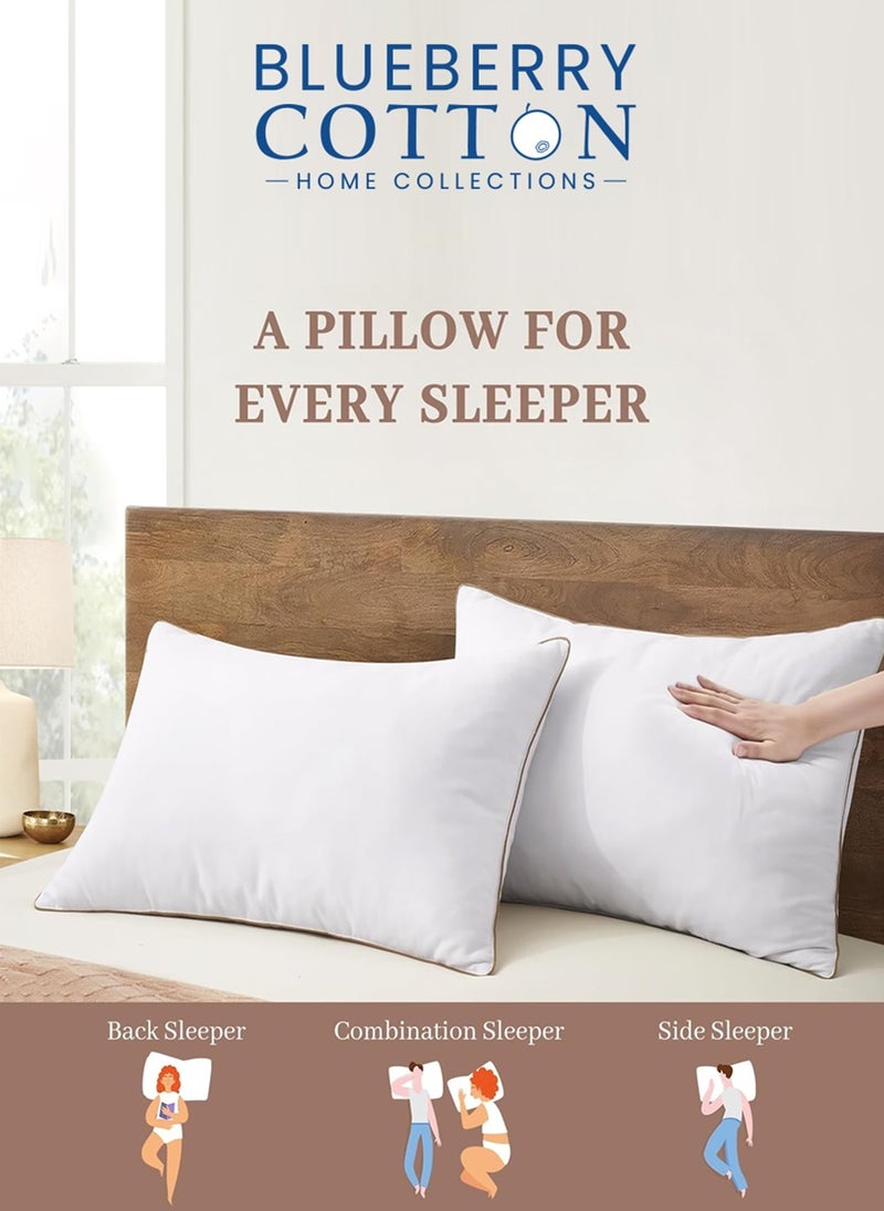 Blueberry 2 Piece Pack Classic Gold Piping Pillow Single Edge Piping Pillow White 50x70cm Made in Uae - Image 3