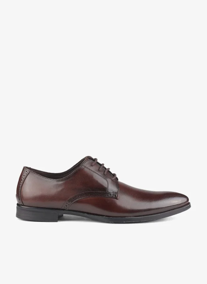 LBL by Shoexpress Men Lace-Up Derby Shoes