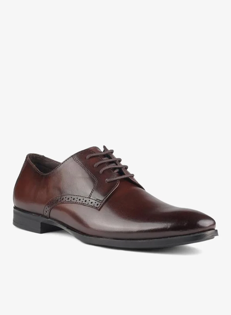 LBL by Shoexpress Men Lace-Up Derby Shoes