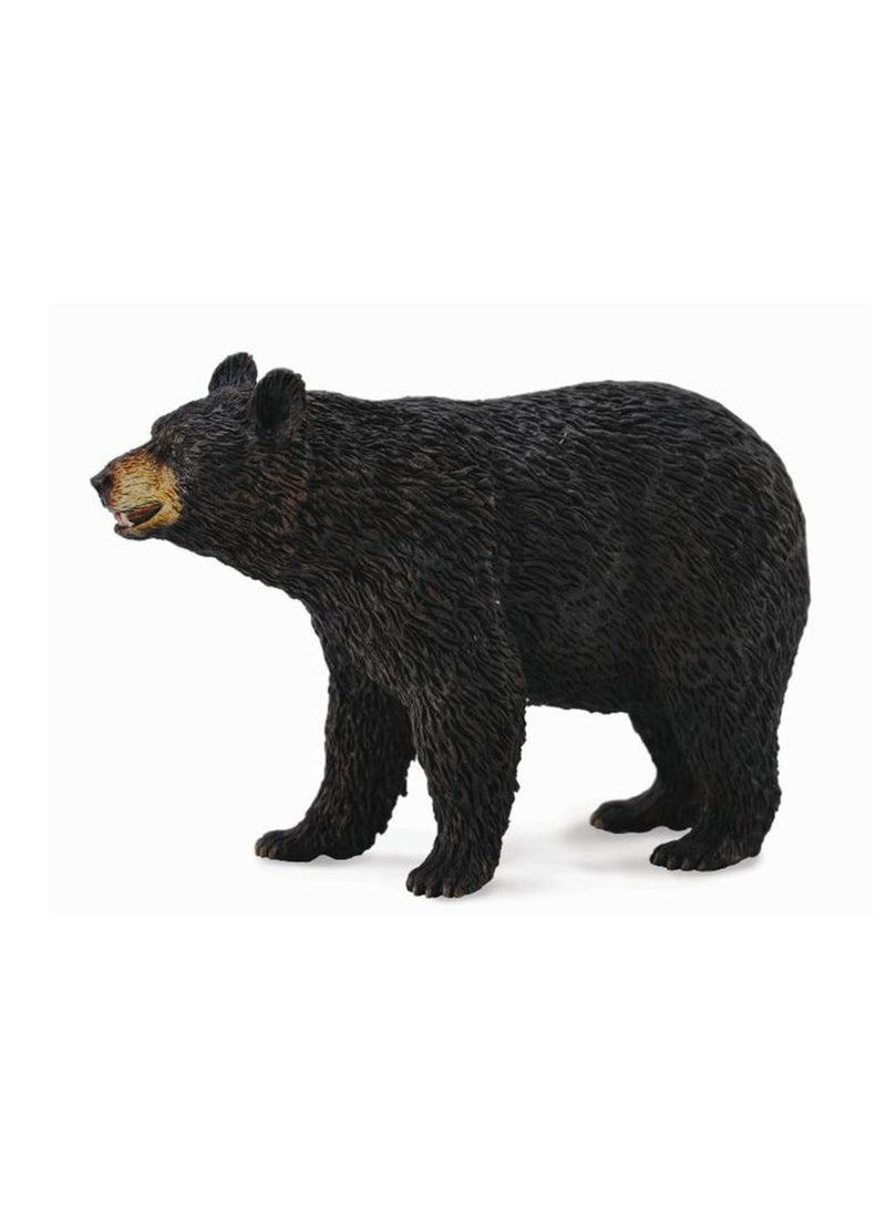 Collecta - American Black Bear - 88698