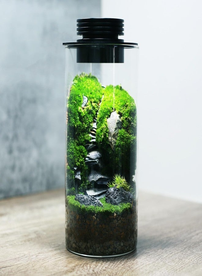 AREPK Desktop Glass Plant Terrarium with Grow Light (H:7.8" D:4"), for Succulent, Moss, Miniature Gardening Landscape, Betta Fish Tank, Office Home Decoration, Plant Lovers Gifts - Image 1