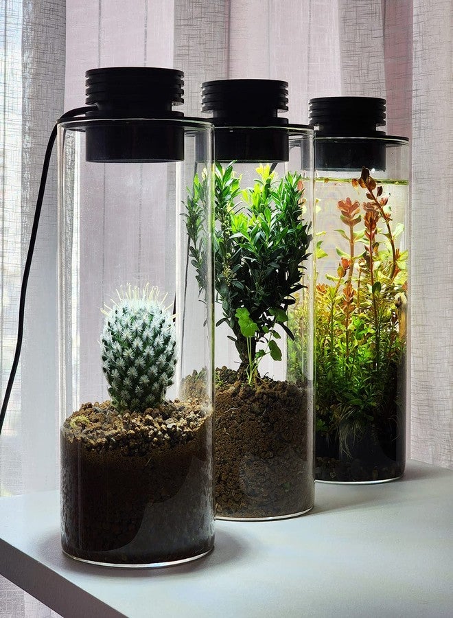 AREPK Desktop Glass Plant Terrarium with Grow Light (H:7.8" D:4"), for Succulent, Moss, Miniature Gardening Landscape, Betta Fish Tank, Office Home Decoration, Plant Lovers Gifts - Image 5
