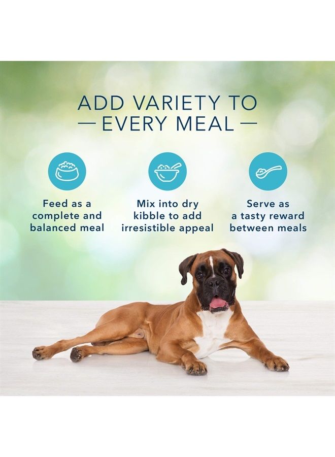 Blue Buffalo Freedom Grain Free Natural Adult Wet Dog Food, Lamb 12.5oz cans (Pack of 12) - Image 1