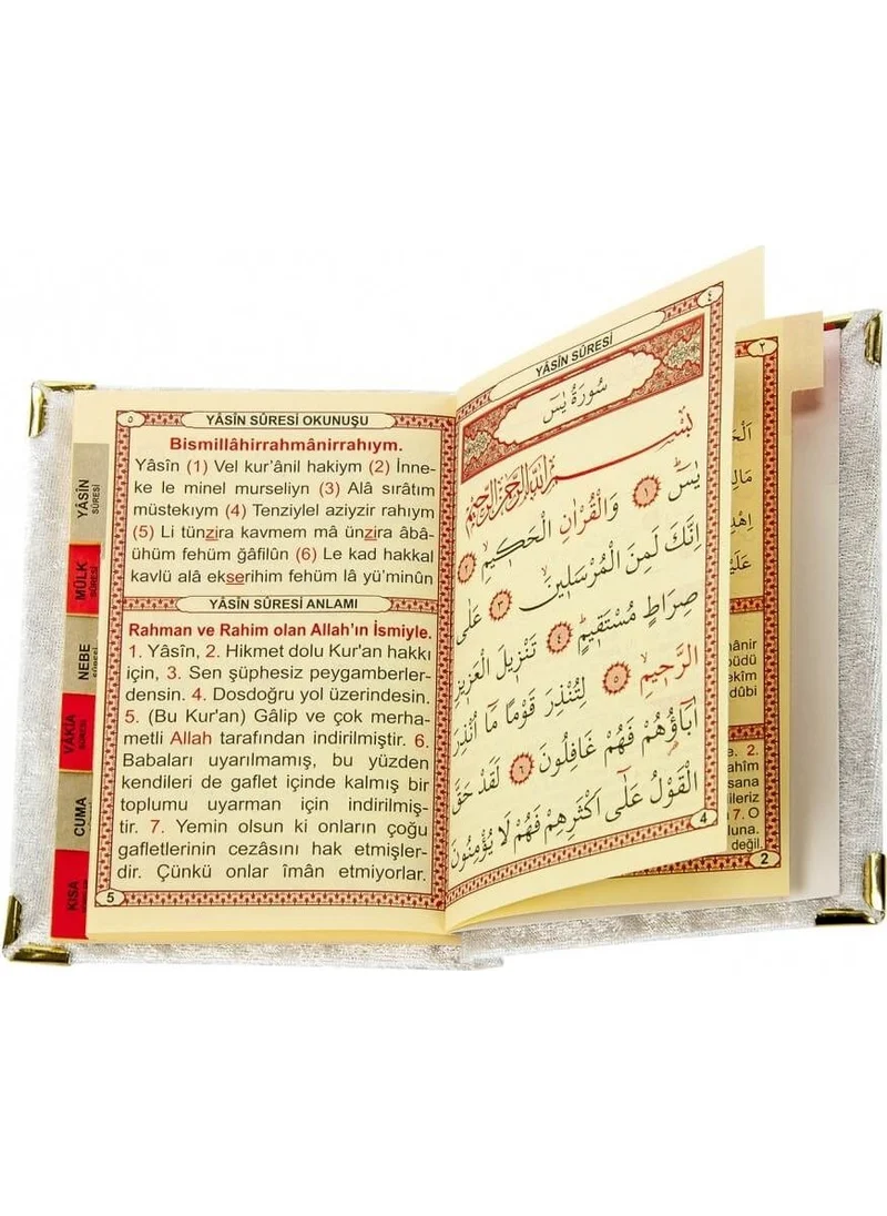 İhvan Ihvan 20 Pieces Velvet Covered Book of Yasin with Allah Words Pocket Size Cream