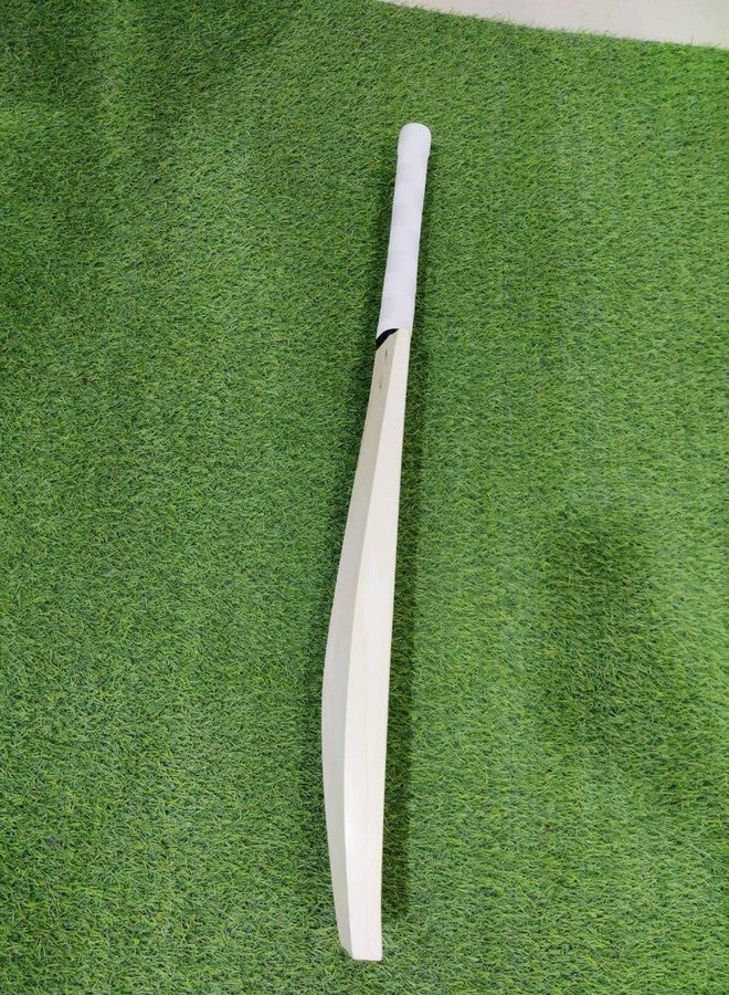 تبلد مضرب كريكيت من خشب الصفصاف الإنجليزي العادي من SAG، مقاس 6، مضرب جلدي مقاس 6 - Image 4