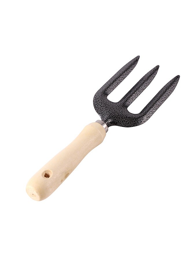 لوازم شوكة يدوية للحديقة من الستانلس ستيل ومقبض خشبي، شوكة يدوية تقليدية للحديقة مع مقبض مريح من خشب الرماد للأعشاب الضارة والحفر والزراعة - Image 4