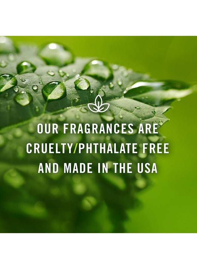Fragrance Oil Clean Set | Fresh Cotton, Lemon, Orange, Grapefruit, Fresh Cut Grass, and Eucalyptus Candle Scents for Candle Making