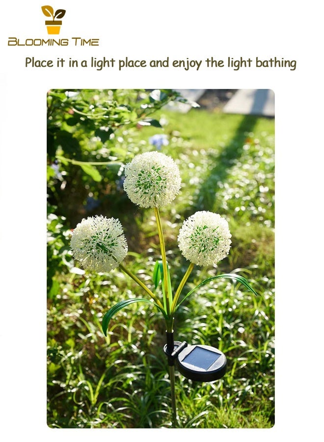 بلومنغ تايم اثنين 3-رئيس الشمسية الأخضر البصل أضواء ، الهندباء الأرض المكونات في أضواء ، في الهواء الطلق فيلا فناء حديقة الديكور أضواء الحديقة - Image 3