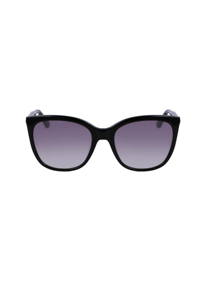 CALVIN KLEIN FULL RIM ACETATE CALVIN KLEIN SUN CK23500S - Image 1