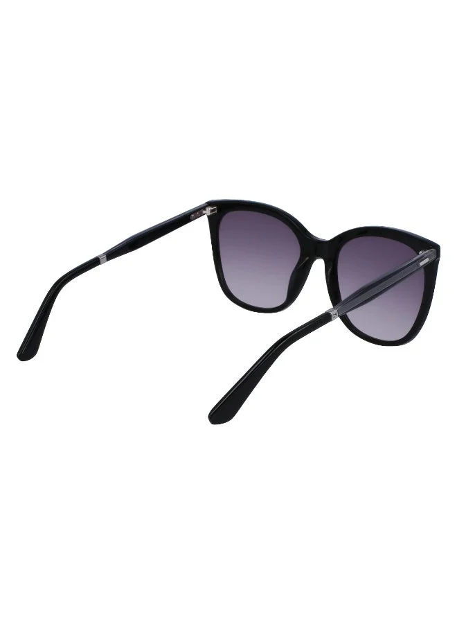 CALVIN KLEIN  FULL RIM ACETATE CALVIN KLEIN SUN CK23500S  | Best Price UAE