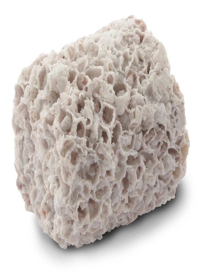 Fluval BIO-FX Biological Filter Media - 2 L Premium Ceramic Bio Media for Freshwater & Saltwater Aquariums - High Surface Area for Beneficial Bacteria Growth - Fits All Canister & Power Filters - Image 3